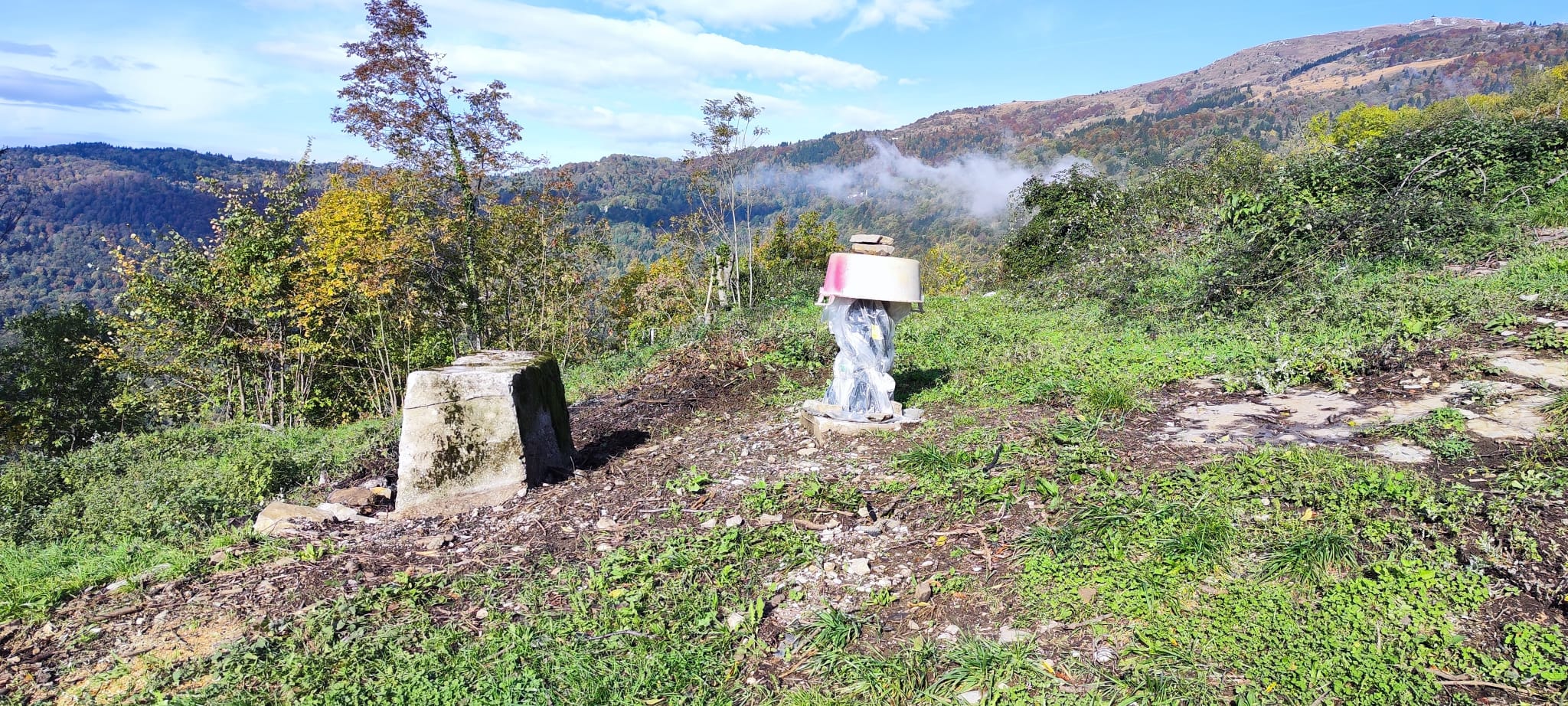 tolta la legna tolta la legna