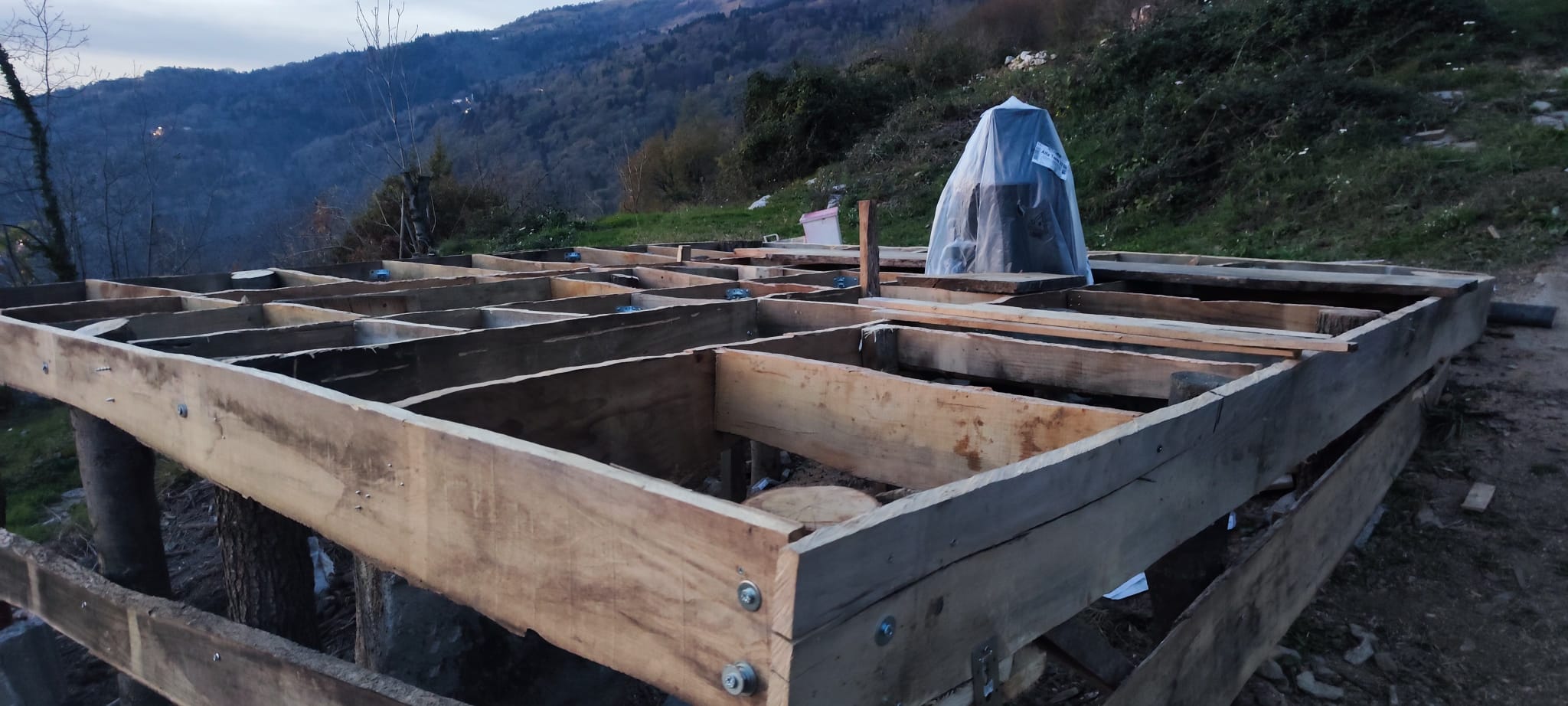 Immagine WhatsApp 2024-11-10 ore 19.38.26_62bb6180 Immagine WhatsApp 2024-11-10 ore 19.38.26_62bb6180