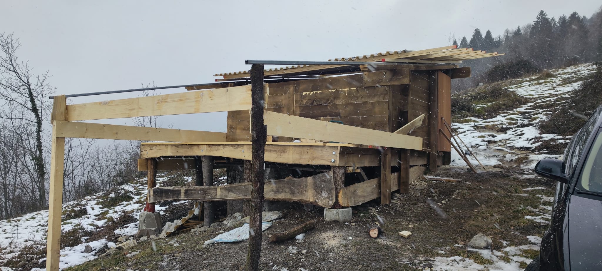 Immagine WhatsApp 2024-12-22 ore 16.25.22_37114209 Immagine WhatsApp 2024-12-22 ore 16.25.22_37114209