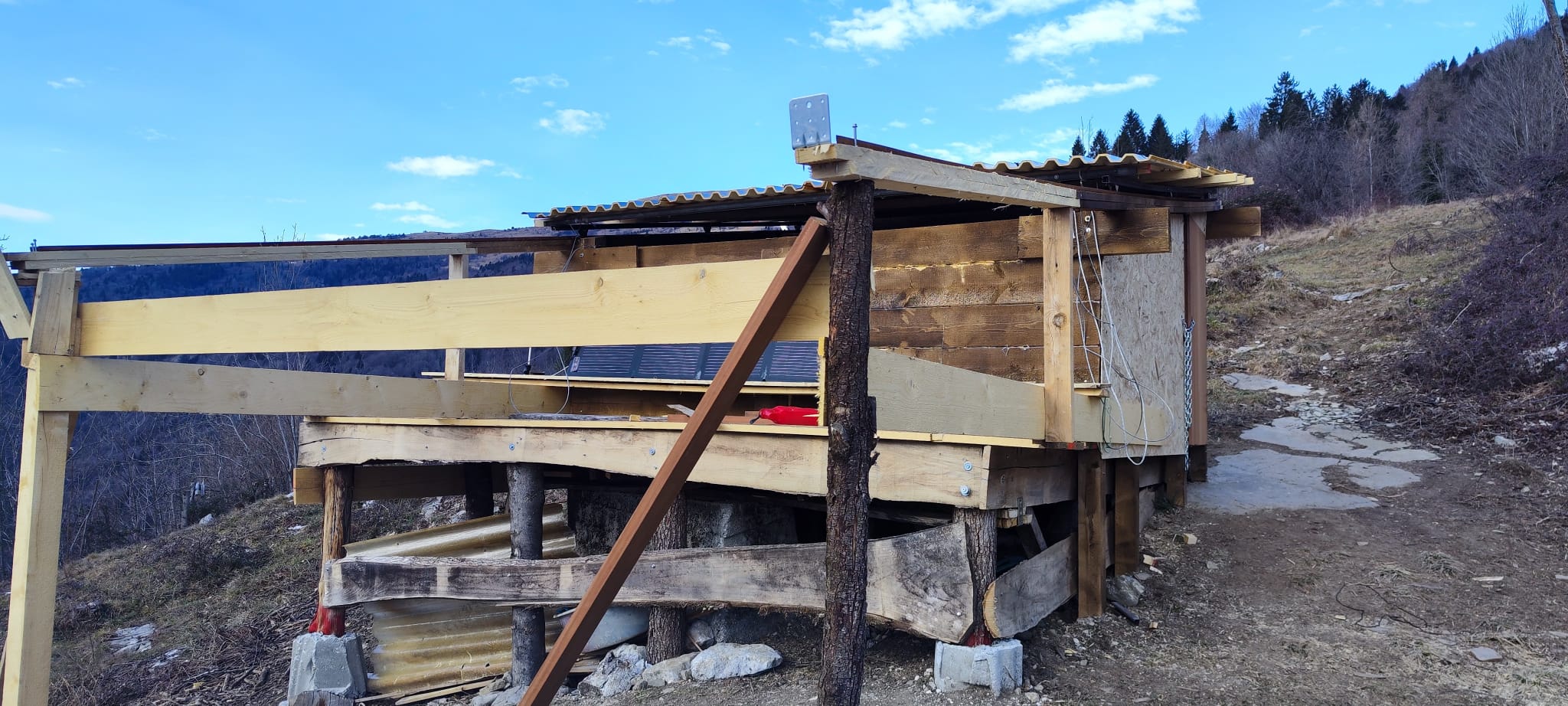 Immagine WhatsApp 2025-01-19 ore 15.12.43_1931ecb6 Immagine WhatsApp 2025-01-19 ore 15.12.43_1931ecb6