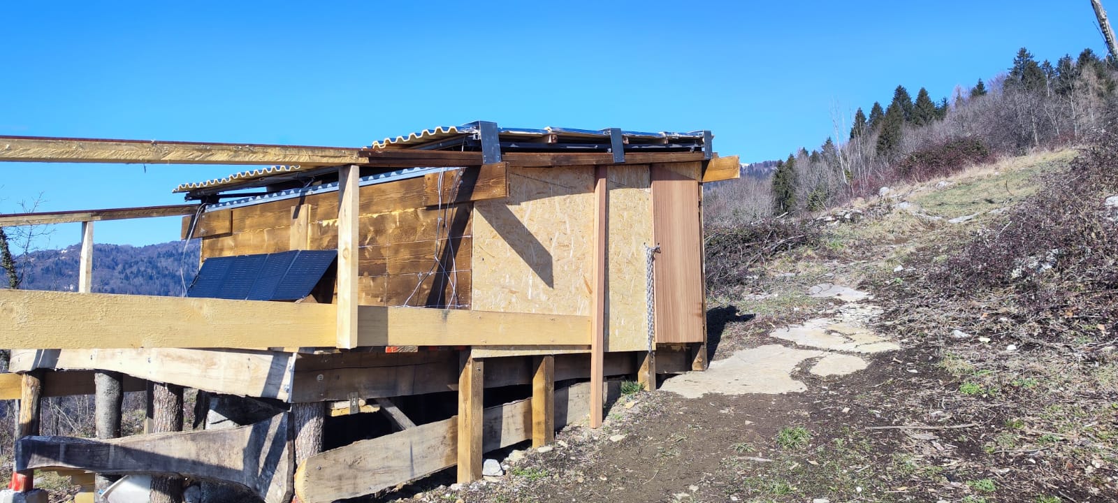 Immagine WhatsApp 2025-02-15 ore 19.56.15_32db9bff Immagine WhatsApp 2025-02-15 ore 19.56.15_32db9bff